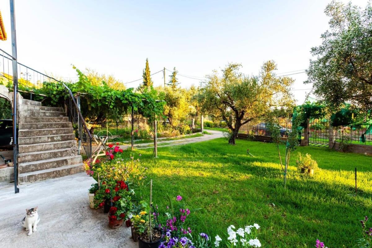 Ferienwohnung Nelly'S Seaview Retreat - Summer Cozy Getaway Zacharo Exterior foto
